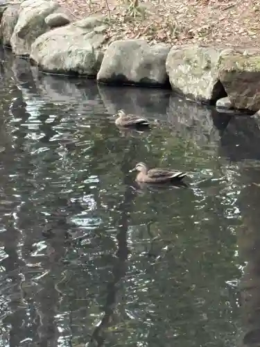 宮崎神宮の{uncategorized: "未分類", other: "その他", undefined: "問題あり", building: "その他建物", grave: "お墓", sacred_gate: "鳥居", guardian: "狛犬", statue: "像", buddha: "仏像", history: "歴史", nature: "自然", garden: "庭園", animal: "動物", pagoda: "塔", temizu: "手水舎", mountain_gate: "山門・神門", sanctuary: "本殿・本堂", subordinate: "末社・摂社", art: "芸術", scenery: "景色", jizo: "地蔵", ema: "絵馬", goshuin: "御朱印", omikuji: "おみくじ", items: "授与品その他", amulet: "お守り", goshuincho: "御朱印帳", eats: "食事", festival: "お祭り", votive_dance: "神楽", shichigosan: "七五三参", wedding: "結婚式", experience: "体験その他", initially: "初詣", around: "周辺", anti_infection: "感染症対策"}