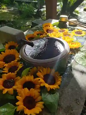 吾平津神社の手水舎