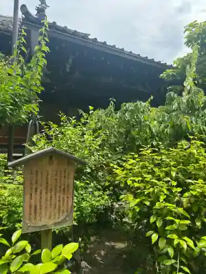 瑞泉寺の{uncategorized: "未分類", other: "その他", undefined: "問題あり", building: "その他建物", grave: "お墓", sacred_gate: "鳥居", guardian: "狛犬", statue: "像", buddha: "仏像", history: "歴史", nature: "自然", garden: "庭園", animal: "動物", pagoda: "塔", temizu: "手水舎", mountain_gate: "山門・神門", sanctuary: "本殿・本堂", subordinate: "末社・摂社", art: "芸術", scenery: "景色", jizo: "地蔵", ema: "絵馬", goshuin: "御朱印", omikuji: "おみくじ", items: "授与品その他", amulet: "お守り", goshuincho: "御朱印帳", eats: "食事", festival: "お祭り", votive_dance: "神楽", shichigosan: "七五三参", wedding: "結婚式", experience: "体験その他", initially: "初詣", around: "周辺", anti_infection: "感染症対策"}