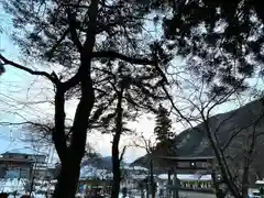 山家神社の自然