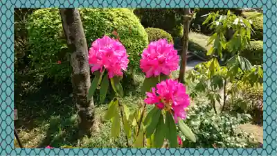 冠稲荷神社(群馬県)