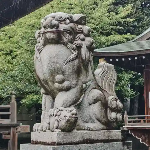 赤羽八幡神社の狛犬