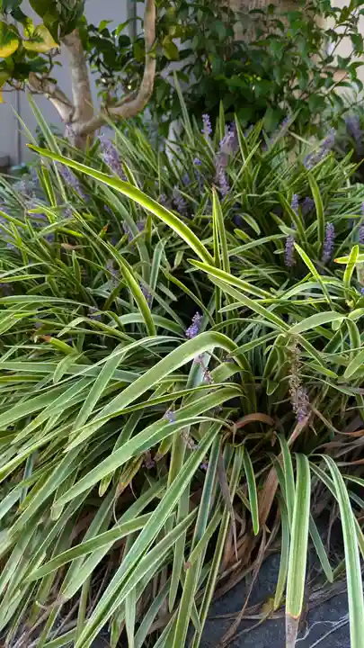 一念寺(京都府)