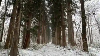 戸隠神社奥社(長野県)