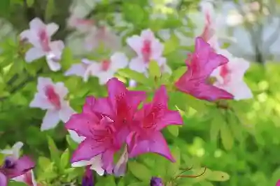 妙満寺(京都府)