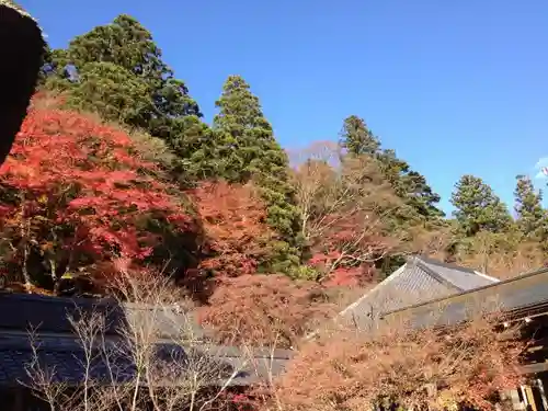 永源寺の自然