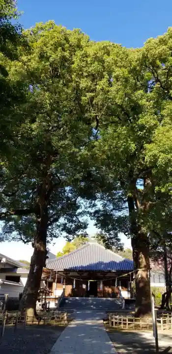 弘法寺の本殿・本堂