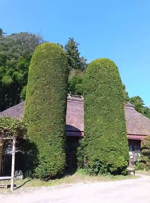 八王寺(埼玉県)