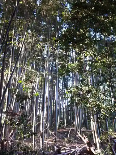 前玉神社の周辺