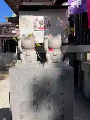 今戸神社の狛犬