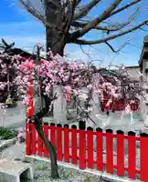 瀧宮神社(広島県)