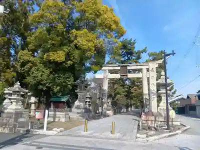 長浜八幡宮(滋賀県)