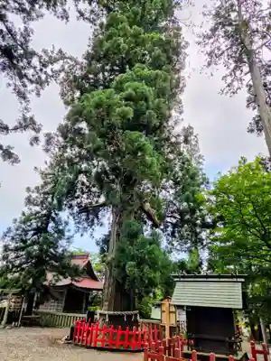 志和古稲荷神社(岩手県)