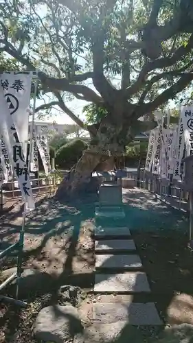 龍口明神社の自然