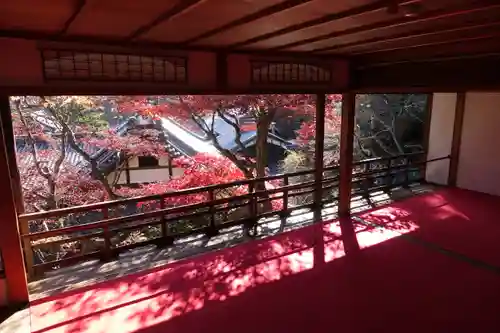 柳谷観音　楊谷寺の景色