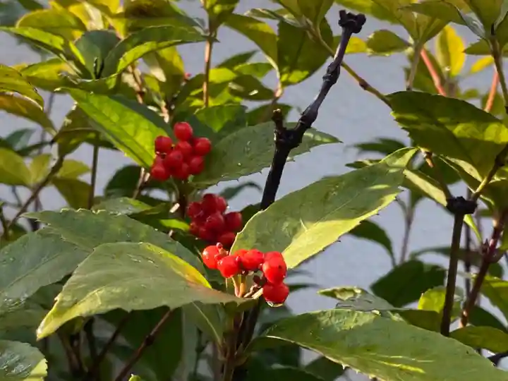 西方山極楽寺(岐阜県)