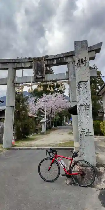 樹下神社(滋賀県)