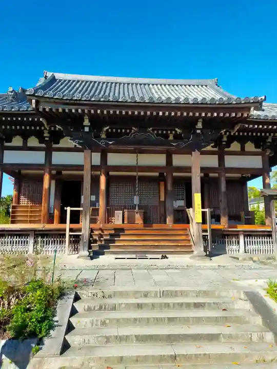 般若寺 ❁コスモス寺❁(奈良県)