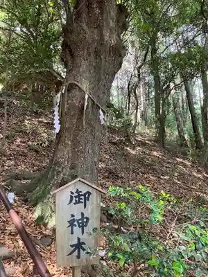 白鬚神社(埼玉県)