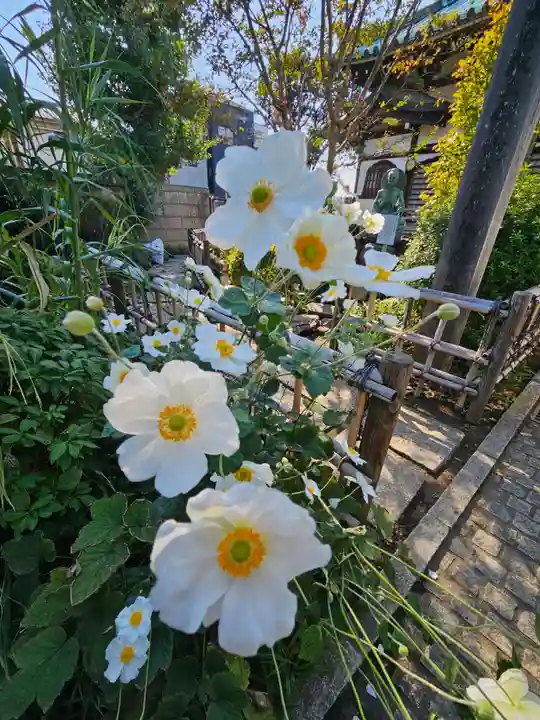 長喜院(埼玉県)