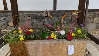 興聖寺(興聖寶林禅寺)(京都府)