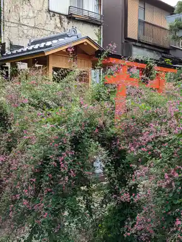 勝念寺（かましきさん）(京都府)