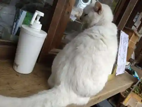 梅宮大社(京都府)