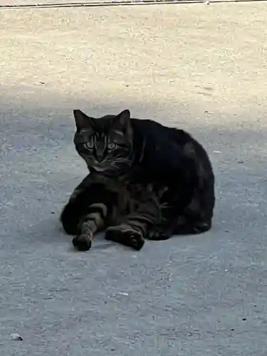 海南神社(神奈川県)