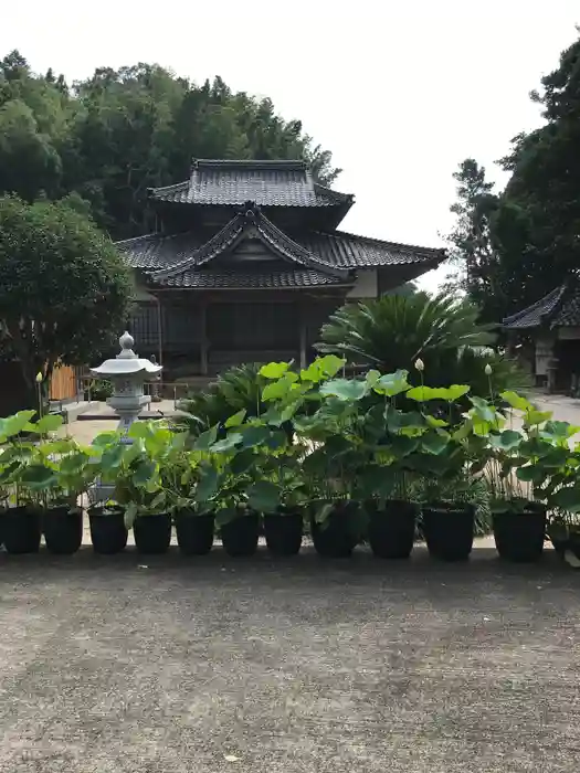 霊感寺の本殿