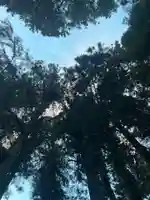 大宮温泉神社(栃木県)