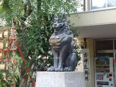 稲毛神社の狛犬
