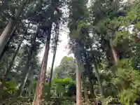 大宮温泉神社(栃木県)