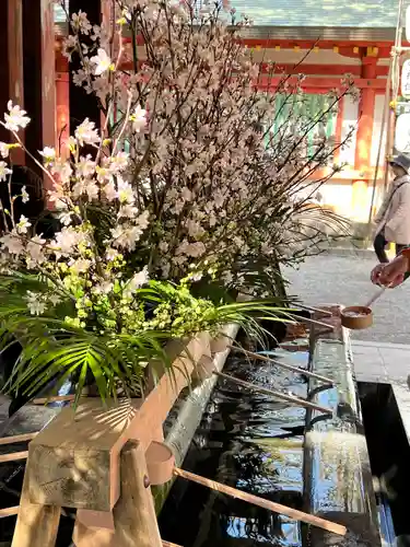 武蔵一宮氷川神社(埼玉県)