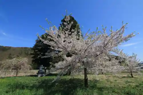 大山祇神社の庭園