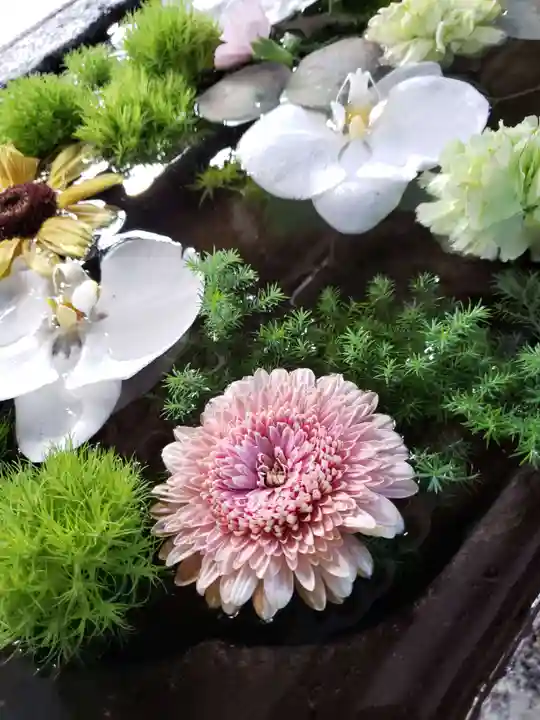鳩森八幡神社の手水舎