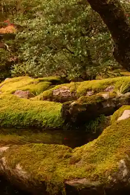 天授庵(京都府)