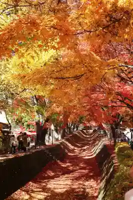 甲斐國一宮 浅間神社(山梨県)