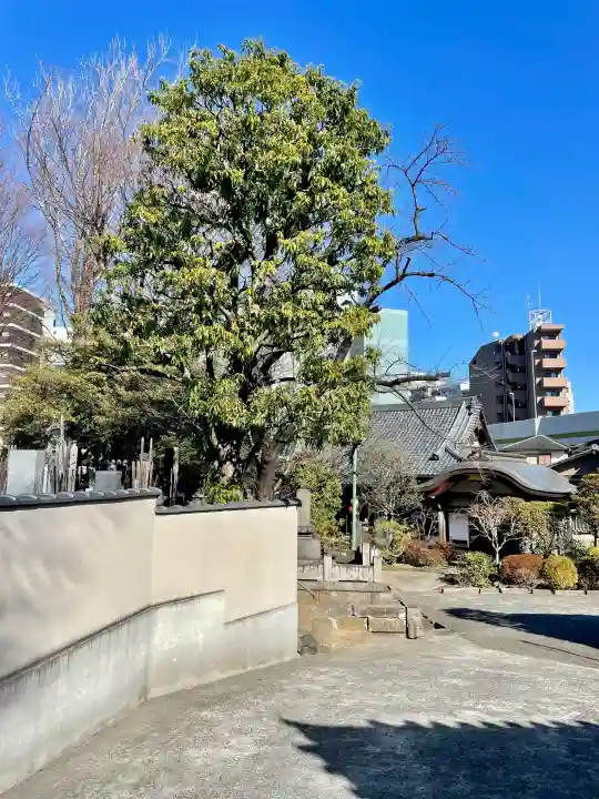 大泉寺の{uncategorized: "未分類", other: "その他", undefined: "問題あり", building: "その他建物", grave: "お墓", sacred_gate: "鳥居", guardian: "狛犬", statue: "像", buddha: "仏像", history: "歴史", nature: "自然", garden: "庭園", animal: "動物", pagoda: "塔", temizu: "手水舎", mountain_gate: "山門・神門", sanctuary: "本殿・本堂", subordinate: "末社・摂社", art: "芸術", scenery: "景色", jizo: "地蔵", ema: "絵馬", goshuin: "御朱印", omikuji: "おみくじ", items: "授与品その他", amulet: "お守り", goshuincho: "御朱印帳", eats: "食事", festival: "お祭り", votive_dance: "神楽", shichigosan: "七五三参", wedding: "結婚式", experience: "体験その他", initially: "初詣", around: "周辺", anti_infection: "感染症対策"}