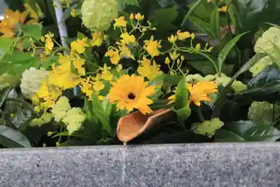 豊景神社の手水舎