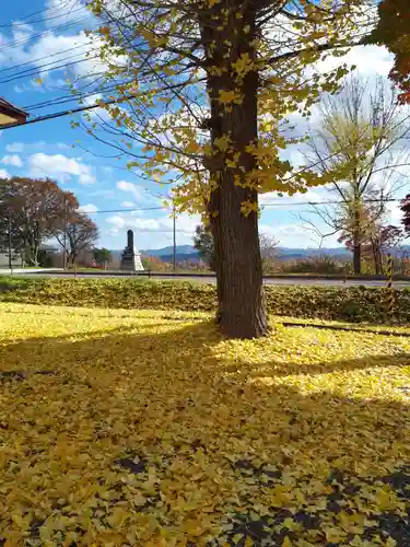 浦臼神社の庭園