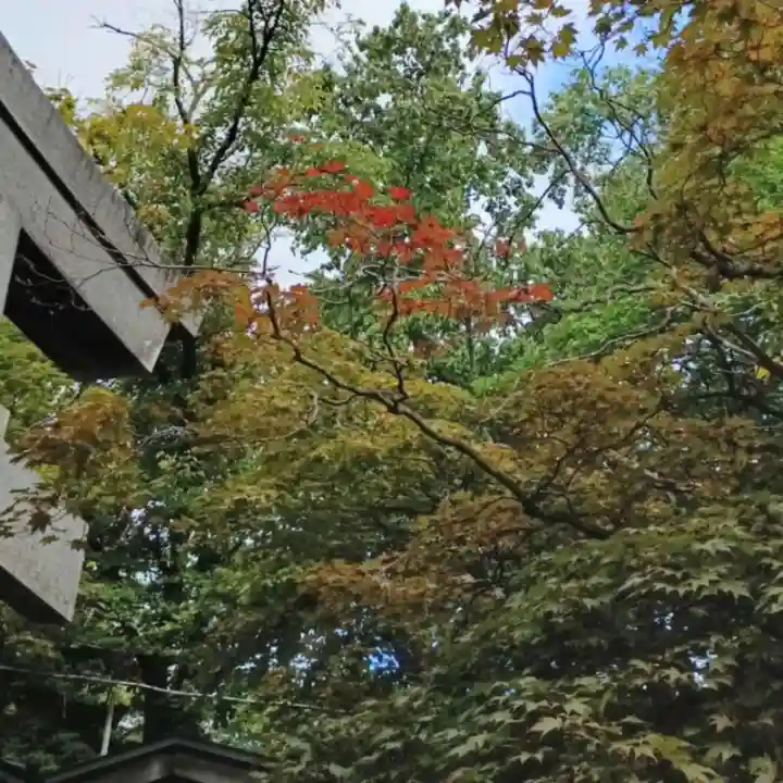 彌彦神社 (伊夜日子神社)(北海道)