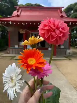 浦賀神社の{uncategorized: "未分類", other: "その他", undefined: "問題あり", building: "その他建物", grave: "お墓", sacred_gate: "鳥居", guardian: "狛犬", statue: "像", buddha: "仏像", history: "歴史", nature: "自然", garden: "庭園", animal: "動物", pagoda: "塔", temizu: "手水舎", mountain_gate: "山門・神門", sanctuary: "本殿・本堂", subordinate: "末社・摂社", art: "芸術", scenery: "景色", jizo: "地蔵", ema: "絵馬", goshuin: "御朱印", omikuji: "おみくじ", items: "授与品その他", amulet: "お守り", goshuincho: "御朱印帳", eats: "食事", festival: "お祭り", votive_dance: "神楽", shichigosan: "七五三参", wedding: "結婚式", experience: "体験その他", initially: "初詣", around: "周辺", anti_infection: "感染症対策"}