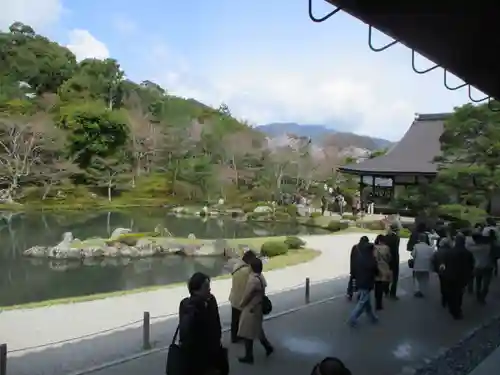 天龍寺の庭園