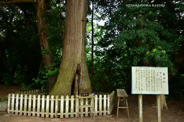鎌数伊勢大神宮(千葉県)