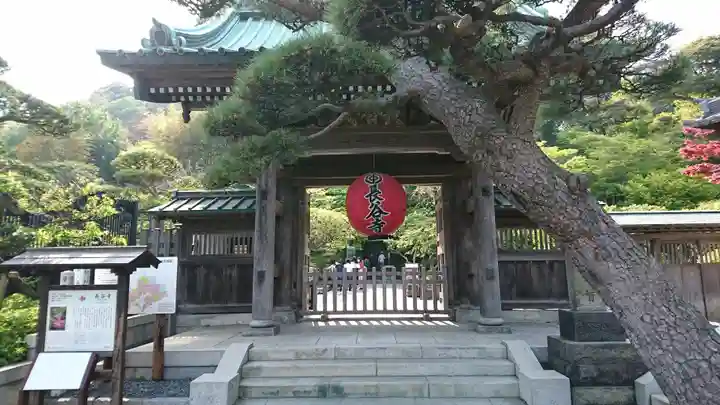 長谷寺の山門・神門