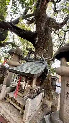 若一神社(京都府)