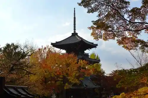 真正極楽寺（真如堂）の景色