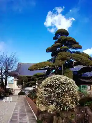 松應寺(東京都)