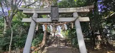 世田谷八幡宮の鳥居