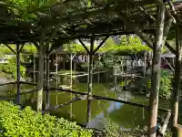 亀戸天神社の{uncategorized: "未分類", other: "その他", undefined: "問題あり", building: "その他建物", grave: "お墓", sacred_gate: "鳥居", guardian: "狛犬", statue: "像", buddha: "仏像", history: "歴史", nature: "自然", garden: "庭園", animal: "動物", pagoda: "塔", temizu: "手水舎", mountain_gate: "山門・神門", sanctuary: "本殿・本堂", subordinate: "末社・摂社", art: "芸術", scenery: "景色", jizo: "地蔵", ema: "絵馬", goshuin: "御朱印", omikuji: "おみくじ", items: "授与品その他", amulet: "お守り", goshuincho: "御朱印帳", eats: "食事", festival: "お祭り", votive_dance: "神楽", shichigosan: "七五三参", wedding: "結婚式", experience: "体験その他", initially: "初詣", around: "周辺", anti_infection: "感染症対策"}